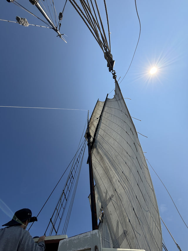 Support Sail Trade Products - here's the explanation why!