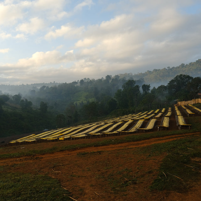 FILTER | ETHIOPIA OKOLUU