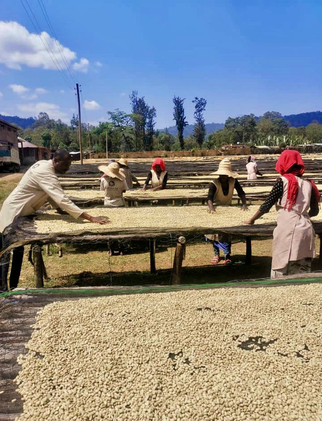 ESPRESSO | ETHIOPIA DUMERSO