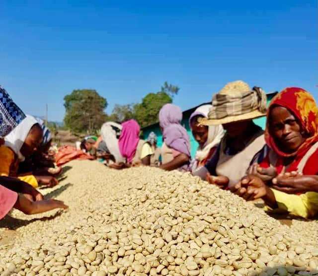 ESPRESSO | ETHIOPIA DUMERSO