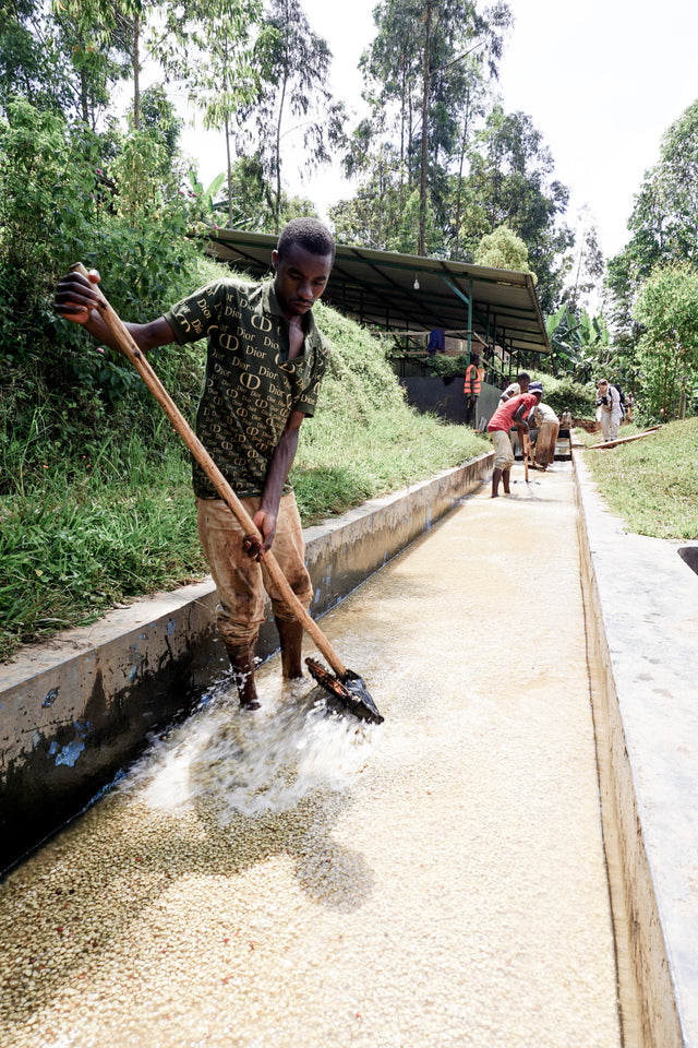 FILTER | BURUNDI YANDARO