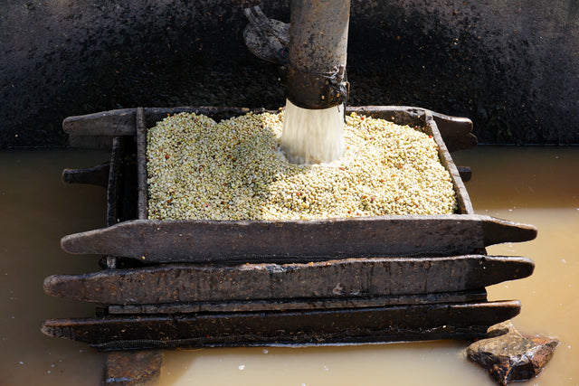 FILTER | BURUNDI YANDARO