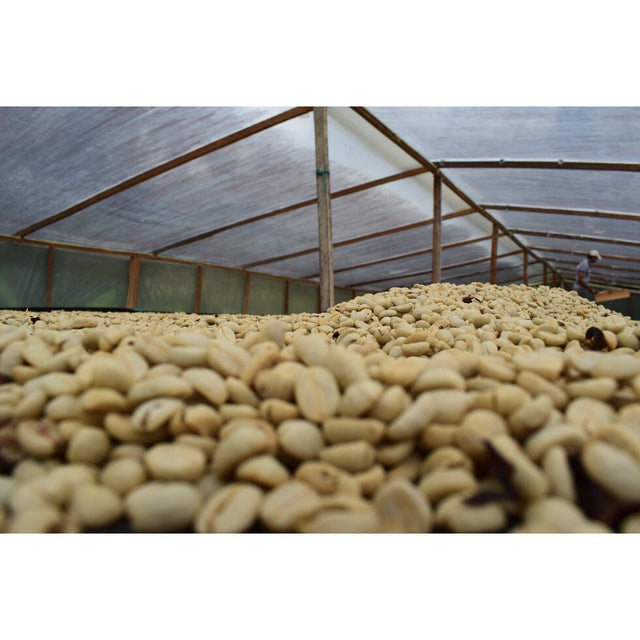 ESPRESSO | AN Cholóim TUMBAGA SIÚCÁN DEICAF