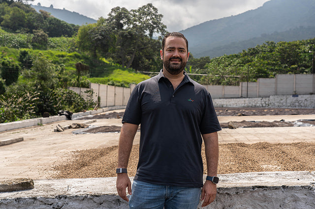 FILTER | EL SALVADOR LYQUIDAMBAR