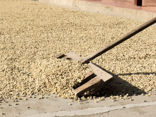 ESPRESSO | AN Cholóim TUMBAGA SIÚCÁN DEICAF