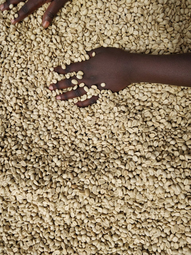 FILTER | RWANDA FUGI