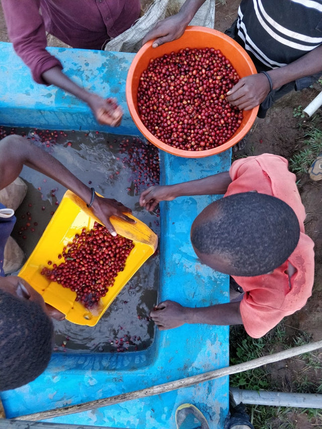 FILTER | RWANDA FUGI