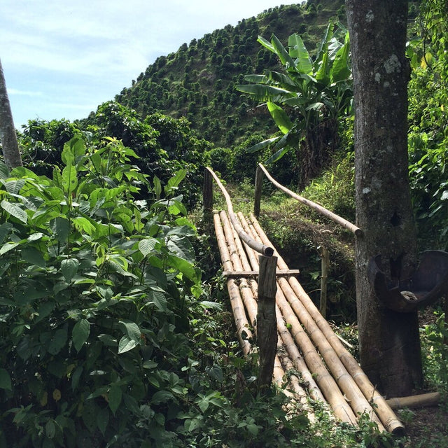 ESPRESSO | AN Cholóim TUMBAGA SIÚCÁN DEICAF