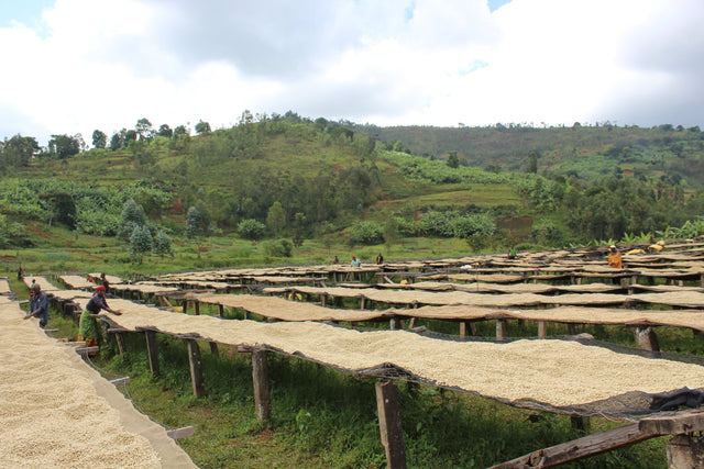 FILTER | BURUNDI YANDARO