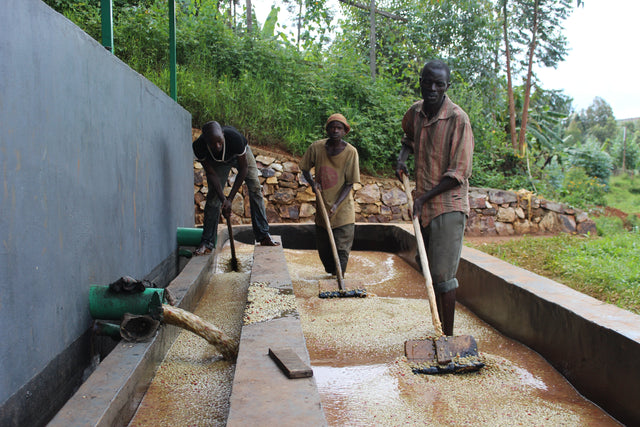 FILTER | BURUNDI YANDARO