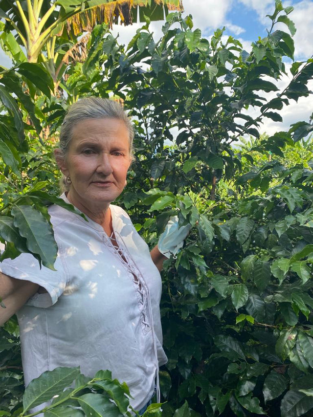 ESPRESSO | COLOMBIA LUZ HELENA SALAZAR (Sailboat Traded Coffee)