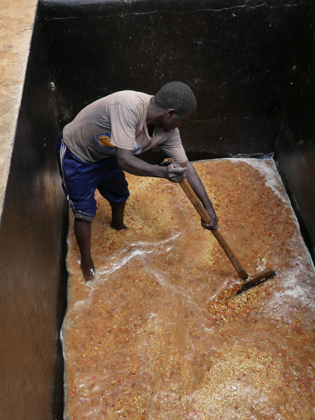 FILTER | BURUNDI YANDARO