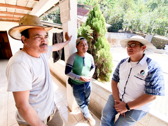 ESPRESSO | AN Cholóim TUMBAGA SIÚCÁN DEICAF