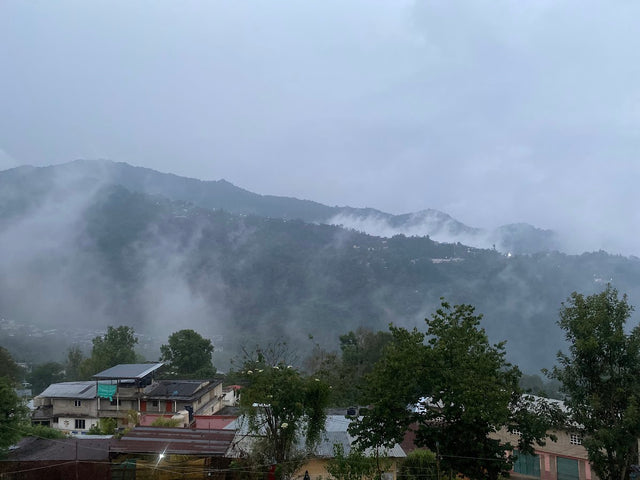 ESPRESSO | MEXICO PENA COLORADA WASHED