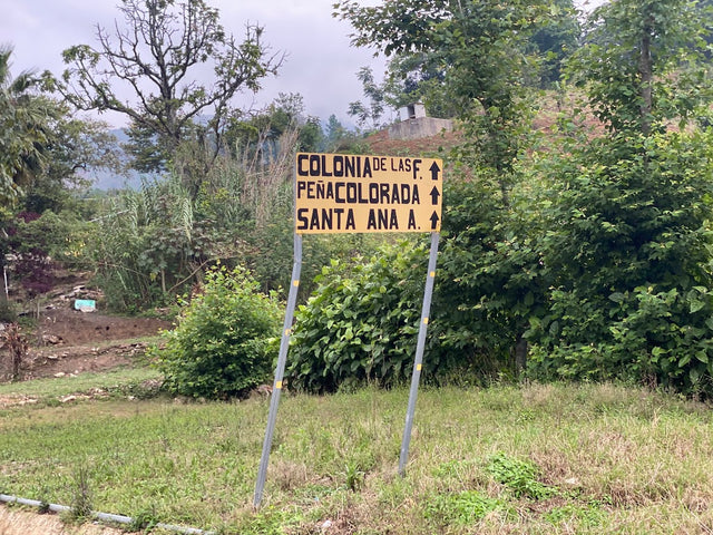 ESPRESSO | MEXICO PENA COLORADA WASHED