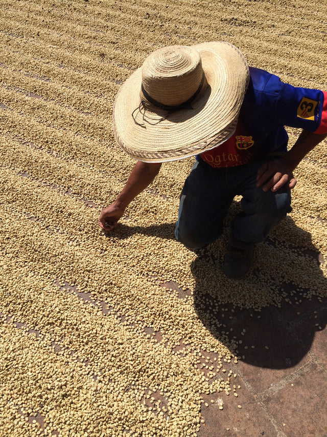 DUNGAREES | SIGNATURE ESPRESSO BLEND | COLOMBIA & BRAZIL