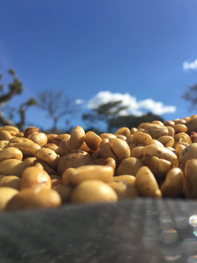 DUNGAREES | SIGNATURE ESPRESSO BLEND | COLOMBIA & BRAZIL