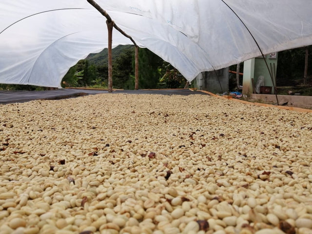 ESPRESSO | AN Cholóim TUMBAGA SIÚCÁN DEICAF