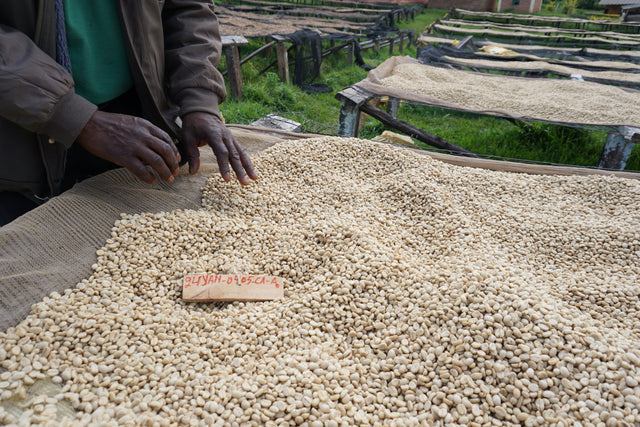 FILTER | BURUNDI YANDARO