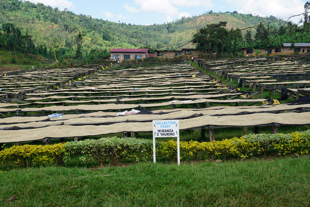 FILTER | BURUNDI YANDARO