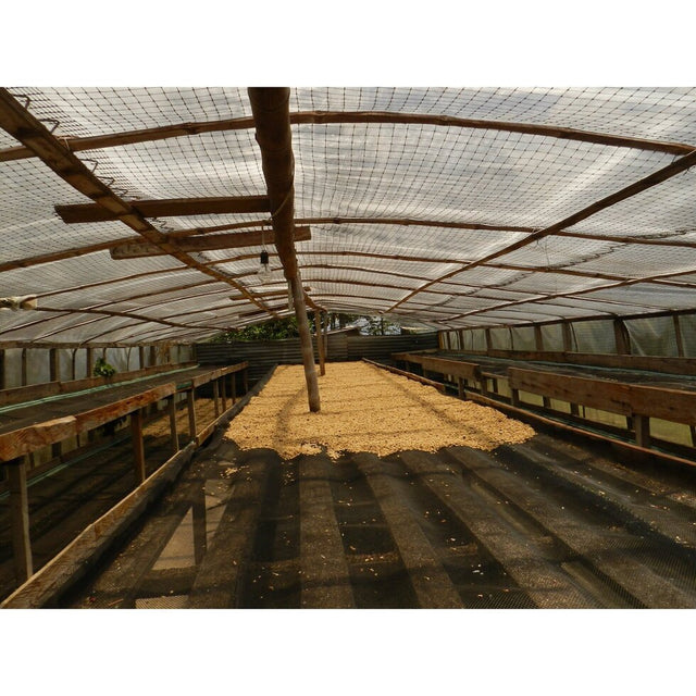 ESPRESSO | AN Cholóim TUMBAGA SIÚCÁN DEICAF