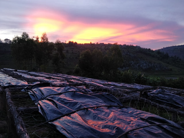 FILTER | RWANDA FUGI
