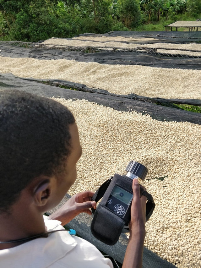 FILTER | RWANDA FUGI