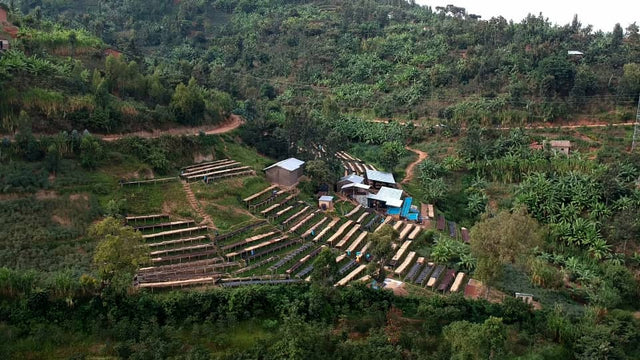 FILTER | RWANDA FUGI