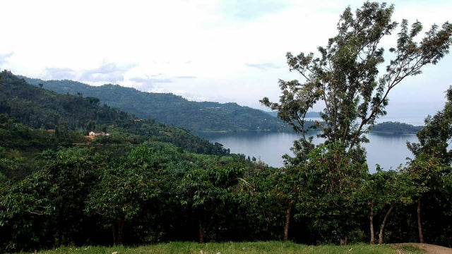 FILTER | RWANDA FUGI