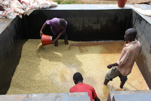 FILTER | BURUNDI YANDARO