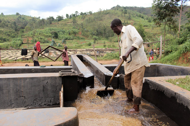 FILTER | BURUNDI YANDARO