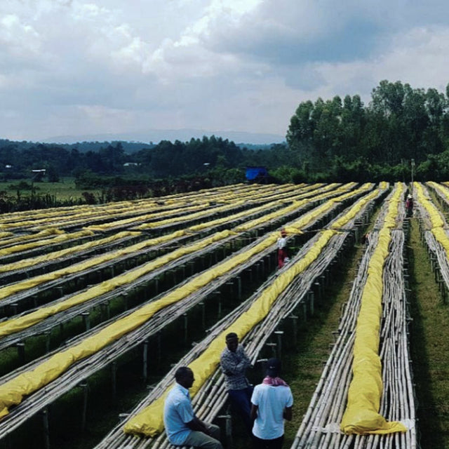 FILTER | ETHIOPIA MUNDAYO