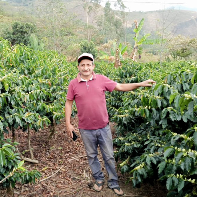 FILTER | CHURUPAMPA -  MARIO JESÚS