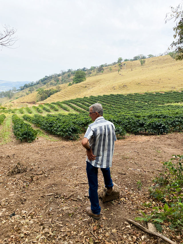 ESPRESSO | MEXICO PENA COLORADA NÍODH