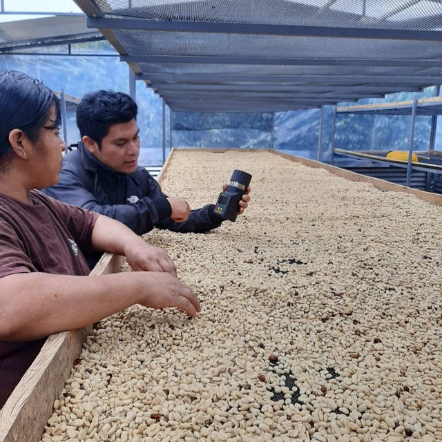 FILTER | CHURUPAMPA -  MARIO JESÚS